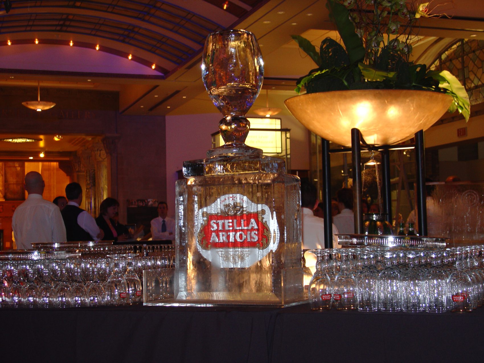 Stella Artois cup