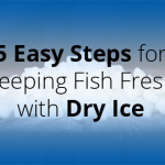 5 Easy Steps for Keeping Fish Fresh with Dry Ice