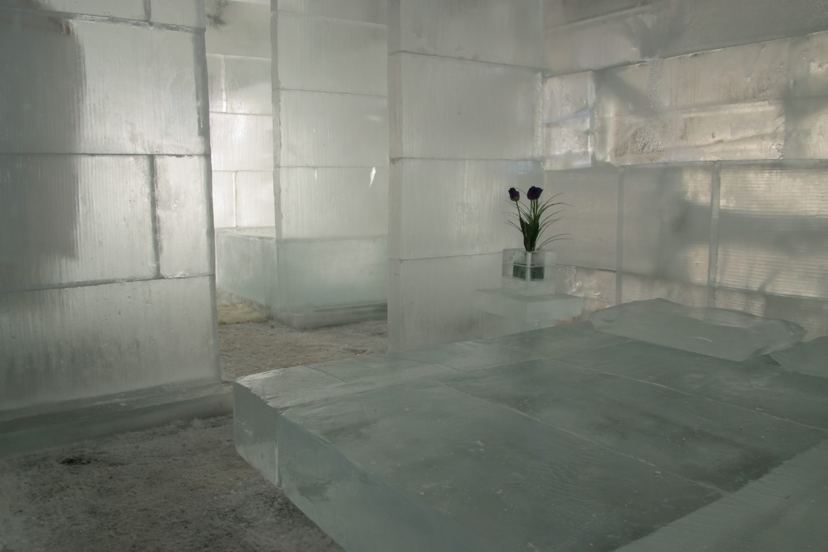 Ice bedroom