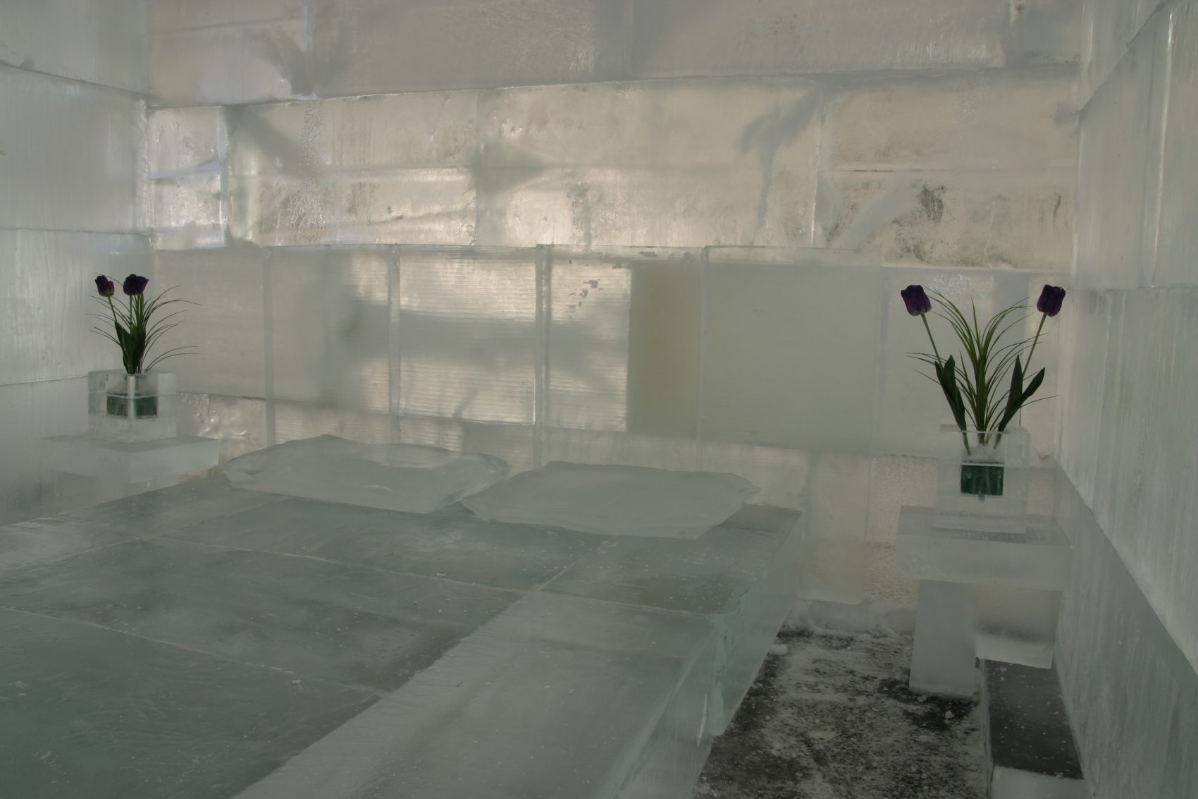 Ice bedroom